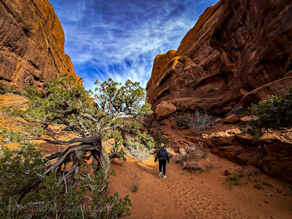 A person walking along a sandy path bordered by reddish rock formations and sparse vegetation in a desert landscape.