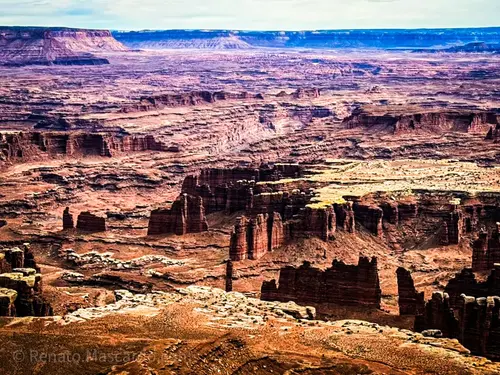 A panoramic view of Canyonlands National Park, showcasing a vast landscape of rugged cliffs and canyons under a blue sky.